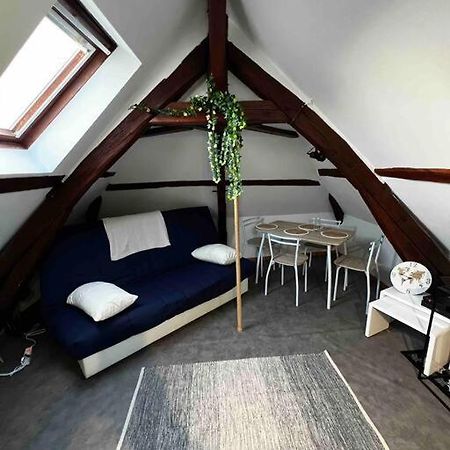 Tres Beau Studio Mansarde, Centre De Bourges Daire Dış mekan fotoğraf