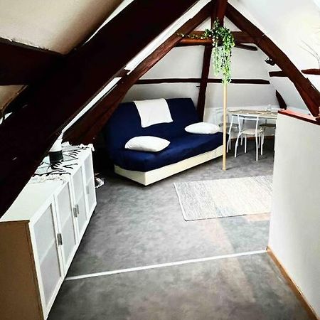 Tres Beau Studio Mansarde, Centre De Bourges Daire Dış mekan fotoğraf