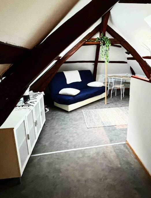 Tres Beau Studio Mansarde, Centre De Bourges Daire Dış mekan fotoğraf